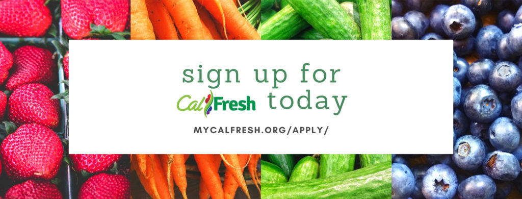 Banner advertisement with colorful fresh fruits and vegetables in the background and a centered white box reading “sign up for CalFresh today” with the CalFresh logo and the URL “mycalfresh.org/apply/”.